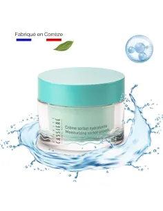 Crème sorbet hydratante à l'eau se Source des Jardins