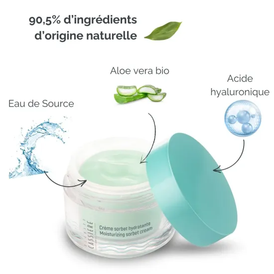 Springwater moisturizing sorbet cream