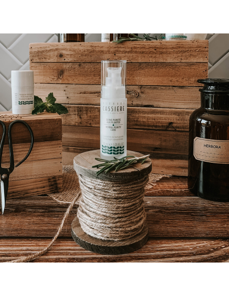 Concentré Botanique Nuit – Peau Fraîche et Rayonnante au Réveil