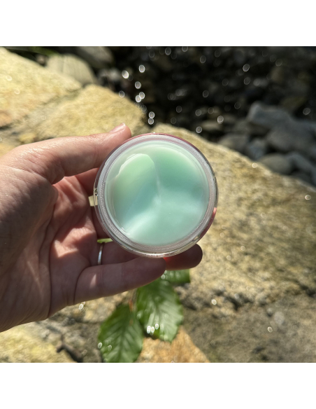 Springwater moisturizing sorbet cream