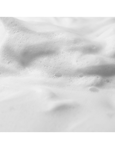 The purity cleansing mousse